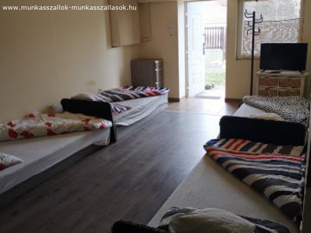 kiado-vendeghaz-apartman-mogyorod-kozpontjaban_164_1.jpg