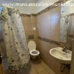 Munkasszallas Szigethalom 424 5 T